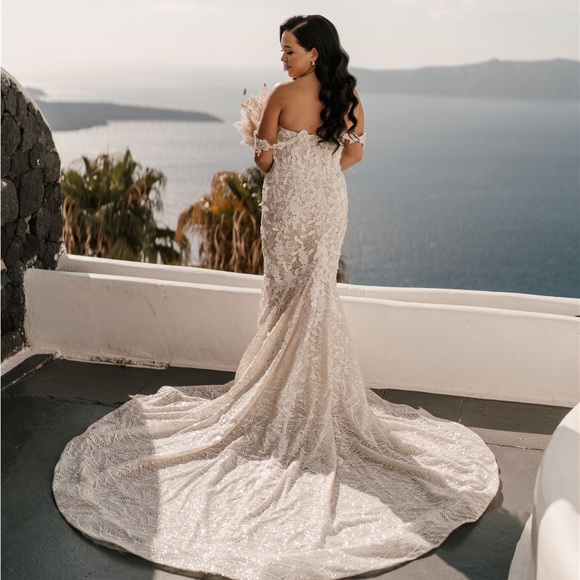 Wona Concept Aivis Wedding Gown - Picture 3 of 14